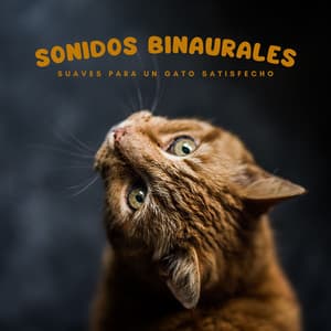 Sonidos Binaurales Suaves Para Un Gato Satisfecho - Lazers binaurales