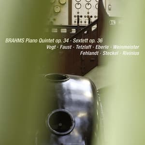 Brahms: Piano Quintet in F Minor, Op. 34 / String Sextet No. 2 in G Major, Op. 36 - Johannes Brahms