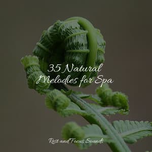 35 Natural Melodies for Spa - Pink Noise