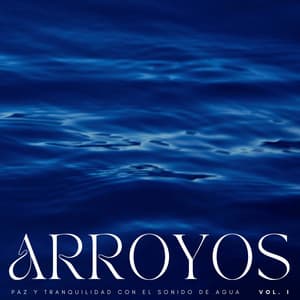 Arroyos: Paz Y Tranquilidad Con El Sonido De Agua Vol. 1 - Ruido de agua