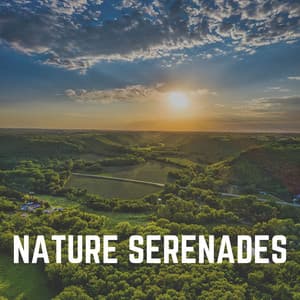 Nature Serenades - Island Nature Sounds