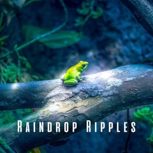 Raindrop Ripples: Sleep to the Sounds of Heavy Rain and Frogs - HD Rain and Water