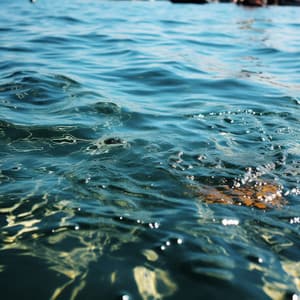 Serenidad Costera: Una Odisea De Relajación Oceánica - Naturaleza y Sonidos Fondos
