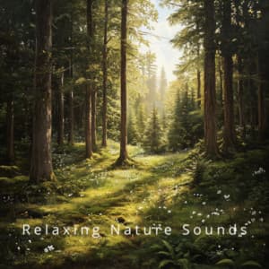 Nature's Lullaby: Relaxing Sounds for Sleep - Relaxing Nature Sounds