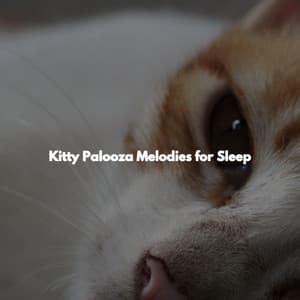 Kitty Palooza Melodies for Sleep - French Cafe Jazz Chillout