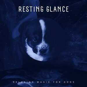 Resting Glance - Relaxing Music for Dogs