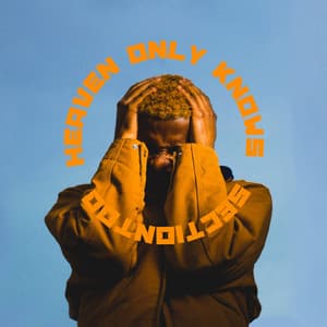 Heaven Only Knows - sectiontoo