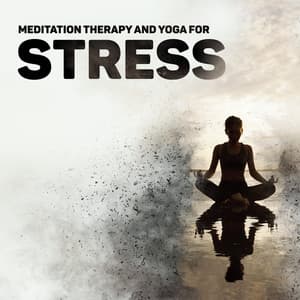 Meditation Therapy and Yoga for Stress Relief: Feel Your Best Energy with Daily Workout - Healing Yoga Meditation Music Consort