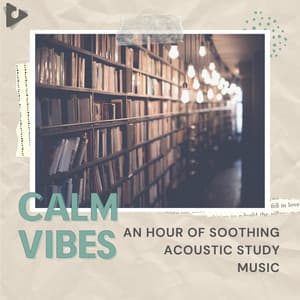 An Hour of Soothing Acoustic Study Music - Calm Vibes