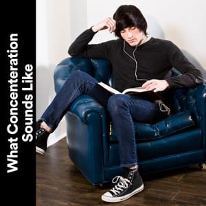 What Concenteration Sounds Like - Working Music Solitude