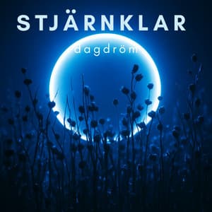 Stjärnklar dagdröm - Avslappning Musik Akademi