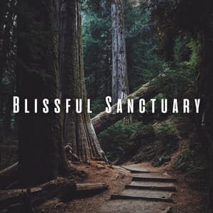 Blissful Sanctuary: Chill Sounds of Nature for Spa Bliss - Nature Sounds Unplugged