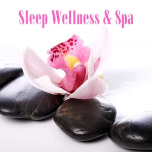 Sleep Wellness & Spa - Spa