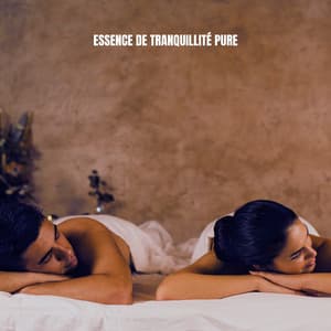 Essence de Tranquillité Pure - Musique Zen Garden