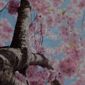 #50 Peaceful Spa Relaxation Music Collection - Exam Study Classical Music
