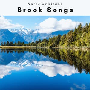 2 0 2 2 Brook Songs - Water Ambience