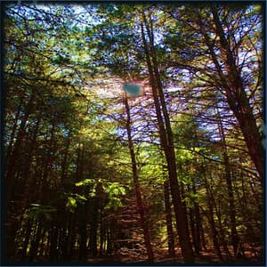 Sensory Reprogramming with Brown Noise, Drones and Flutes - Lullabies for Deep Meditation