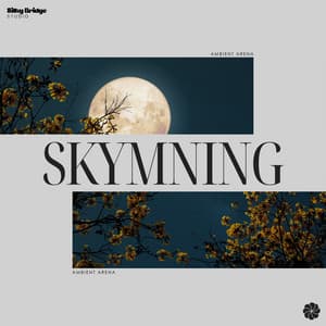 Skymning - Ambient Arena