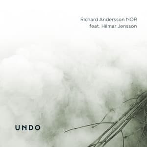 Undo - Richard Andersson