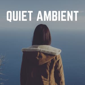 Quiet Ambient - Music Body and Spirit