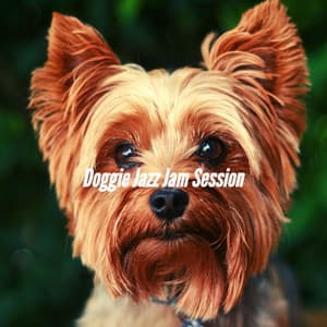 Doggie Jazz Jam Session - Sleepy Dogs