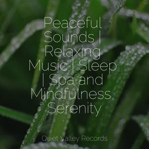 Peaceful Sounds | Relaxing Music | Sleep | Spa and Mindfulness, Serenity - Musica Reiki