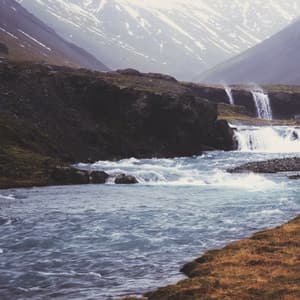 Mental Meadows: Chill Music Water Fields - Música Instrumental Maestro