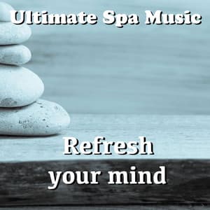 Refresh Your Mind - Ultimate Spa Music