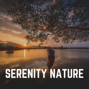 Serenity Nature - Weather Garden