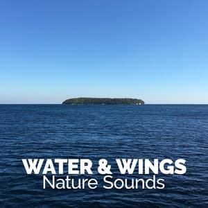 Water & Wings: Nature Sounds - Nature Sounds Meditation