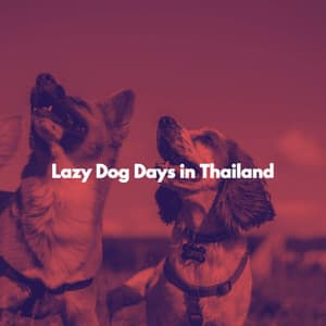 Lazy Dog Days in Thailand - Cafe Musik
