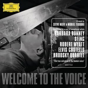 Welcome to the Voice - Steve Nieve