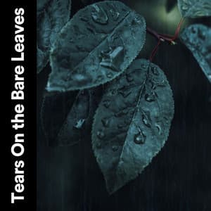 Tears on the Bare Leaves - Factorial FX