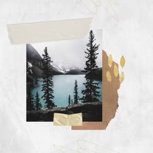 Jazz Violin - Background for Chilled June Nights - Hotel Lounge Music