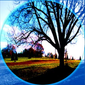 Soothing Background Ambiance - Meditation Awareness