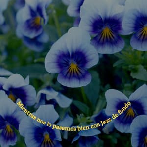 Mientras nos lo pasamos bien con Jazz de fondo - Instrumental Chill Out Jazz