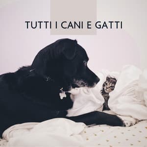 Tutti i cani e gatti: Musica rilassante per animali domestici - Animali Domestici Unità