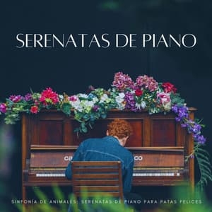 Sinfonía De Animales: Serenatas De Piano Para Patas Felices - Música clásica para piano