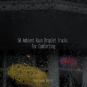50 Ambient Rain Droplet Tracks for Comforting - Lullabies for Deep Meditation