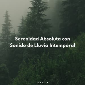 Serenidad Absoluta Con Sonido De Lluvia Intemporal Vol. 1 - Efectos especiales de lluvia del bosque