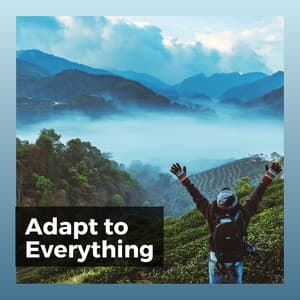 Adapt to Everything - Música Calmante