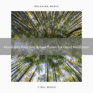 Absolutely Free Sea Waves Tunes For Good Meditation - Timeless Relax