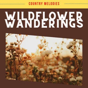 Wildflower Wanderings - Country Melodies