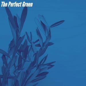 The Perfect Green - Cafe Jazz Deluxe