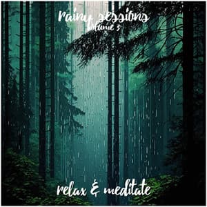 Rainy Sessions - Volume 3 - Relax and Meditate