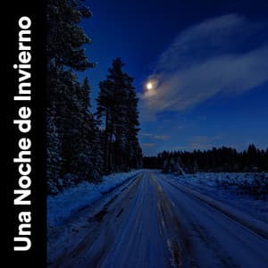 Una Noche De Invierno - Sonidos de la Naturaleza para Dormir