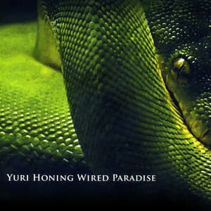 Temptation - Yuri Honing Wired Paradise