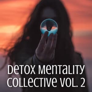 Detox Mentality Collective Vol. 2 - Meditation Music For Sleep