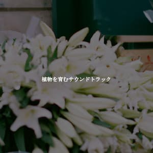 植物を育むサウンドトラック - New York Jazz Bar