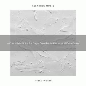 A Cool White Noise For Carpe Diem Perfet Karma, And Calm Down - White Noise Pleasant Sounds